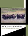 bison management plaN
