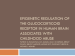 Epigenetic Regulation of the Glucocorticoid receptor in human brain