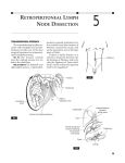 RETROPERITONEAL LYMPH NODE DISSECTION