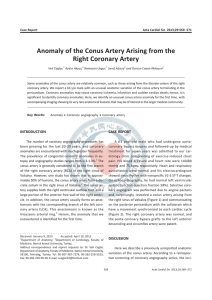 Anomaly of the Conus Artery Arising from the Right Coronary Artery