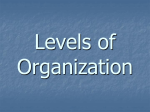 Levels of Organization PPT