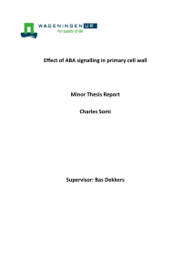 Effect of ABA signalling in primary cell wall Minor Thesis Report