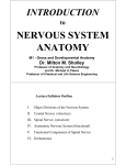 Introduction to the Nervous System