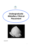 undergraduate midwifery clinical booklet