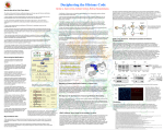 Deciphering the Histone Code