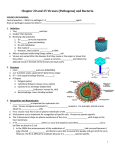 Bacteria and Viruses Notes