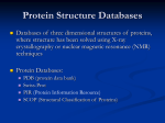 Protein Structure Predictions 2