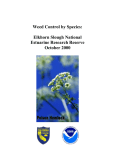 Weed Control by Species: Elkhorn Slough National Estuarine