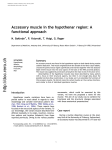 Accessory muscle in the hypothenar region: a functional approach