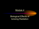 Louisiana State University Radiation Safety Office