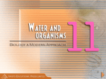 water and organism_a..