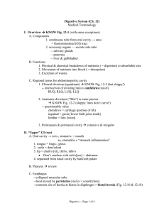 Digestive System (Ch. 12)