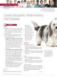Canine Idiopathic Inflammatory CNS Disease