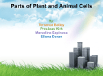 Parts of Plant and Animal Cells By