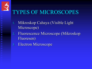 bright field microscopy