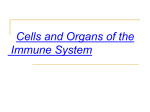 Cell Nd Organs - GCG-42