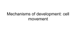 Mechanisms of development: cell movement