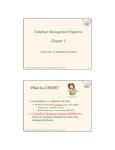 Database Management Systems Chapter 1 What Is a DBMS?