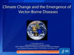 Climate Change and the Emergence of Vector