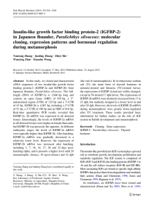 Insulin-like growth factor binding protein-2 (IGFBP