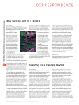 The Dog as a Cancer Model