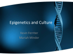Epigenetics and Culture