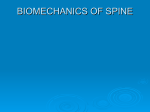 biomechanics of spine