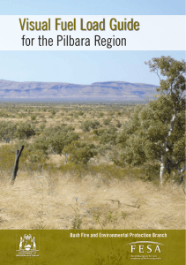 Visual Fuel Load Guide for the Pilbara Region