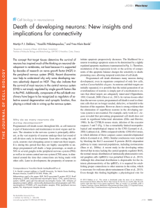 Death of developing neurons: New insights and implications for