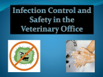 infection control in the vet setting