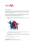 How the Heart Works - Heart Care Victoria