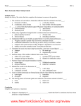 Plate Tectonics Short Study Guide