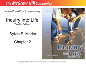 chapter02_part1_lecture - bloodhounds Incorporated