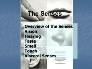 Visceral Senses