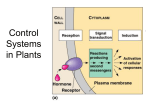 Control Systems in Plants