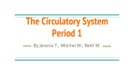 The Circulatory System Period 1