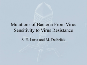 Mutations of Bacteria From Virus Sensitivity to Virus Resistance