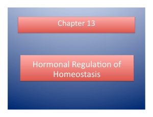 Hormonal Regula on of Homeostasis
