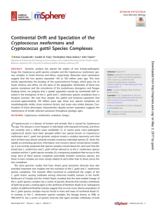 Continental Drift and Speciation of the Cryptococcus