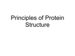 Principles of Protein Structure