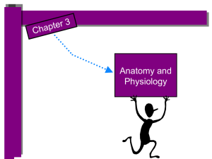 Chapter 3: Anatomy and Physiology