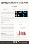 Higher subcortical and white matter cerebral blood flow in