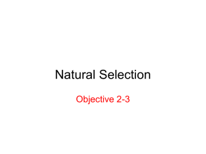 NaturalSelection - San Elijo Elementary School