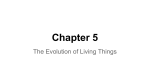 Chapter 5