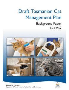 Draft Tasmanian Cat Management Plan for Public Comment