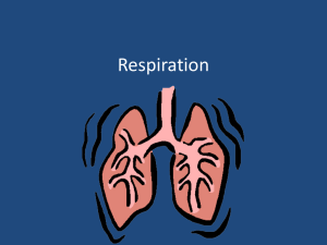 Respiration