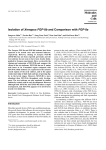 Isolation of Xenopus FGF-8b and Comparison with FGF
