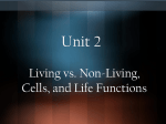 Unit 2 PP - shscience.net