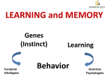 LEARNING and MEMORY
