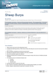 Activity Sheep Burps Key Learning Students will investigate the